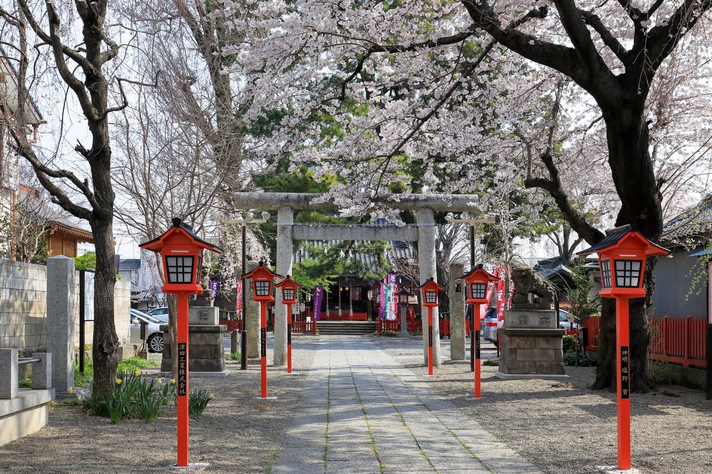 ⛩️ 코우 신사 (코우 진자) 이미지 1